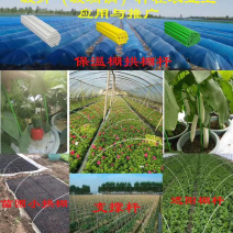 拱棚杆，支撑杆，玻璃纤维片，玻璃纤维杆，晾晒杆