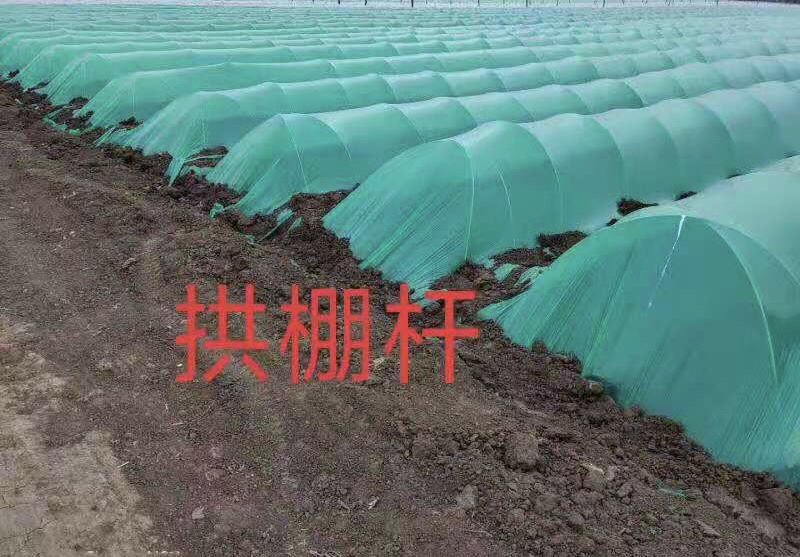 拱棚杆，支撑杆，玻璃纤维片，玻璃纤维杆，晾晒杆