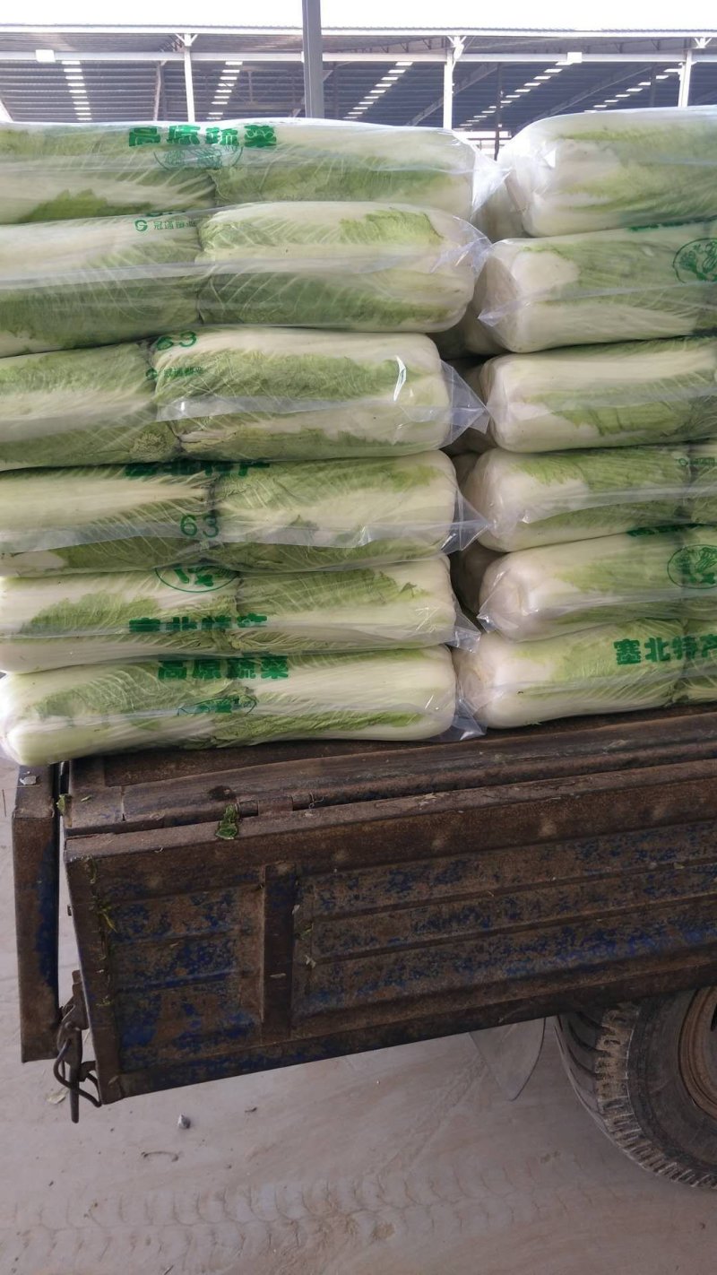 大白菜，北京三号，北京新三号白菜大量供应，质量保证净菜标