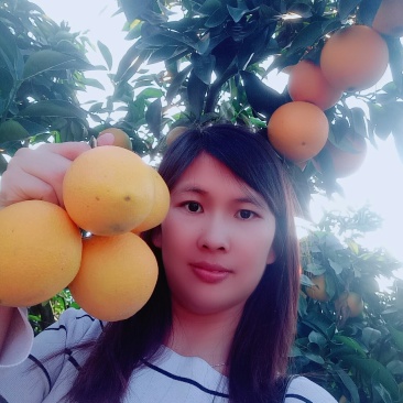 赣南脐橙