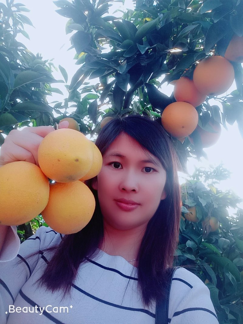 赣南脐橙