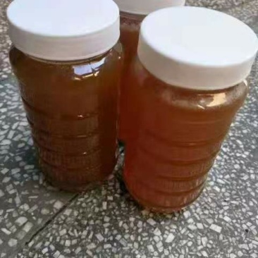 土蜂蜜