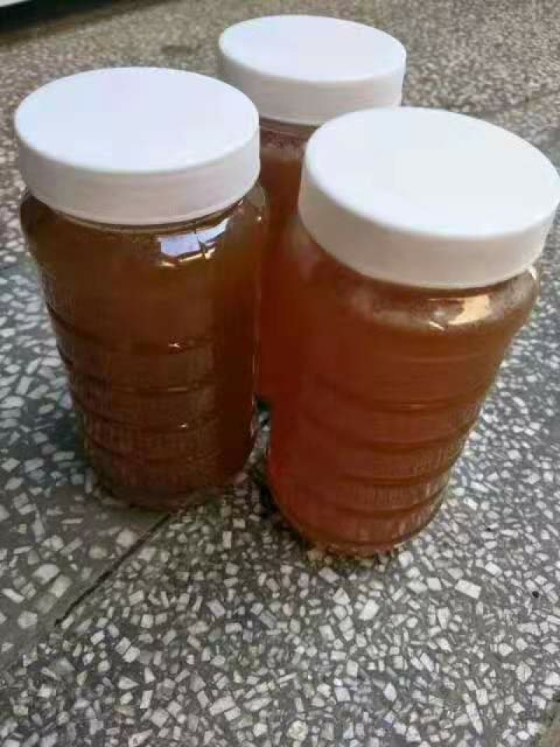 土蜂蜜
