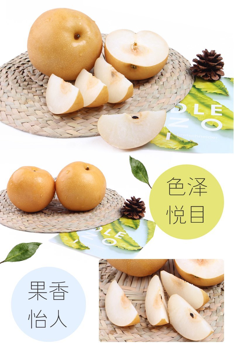 山东秋月梨