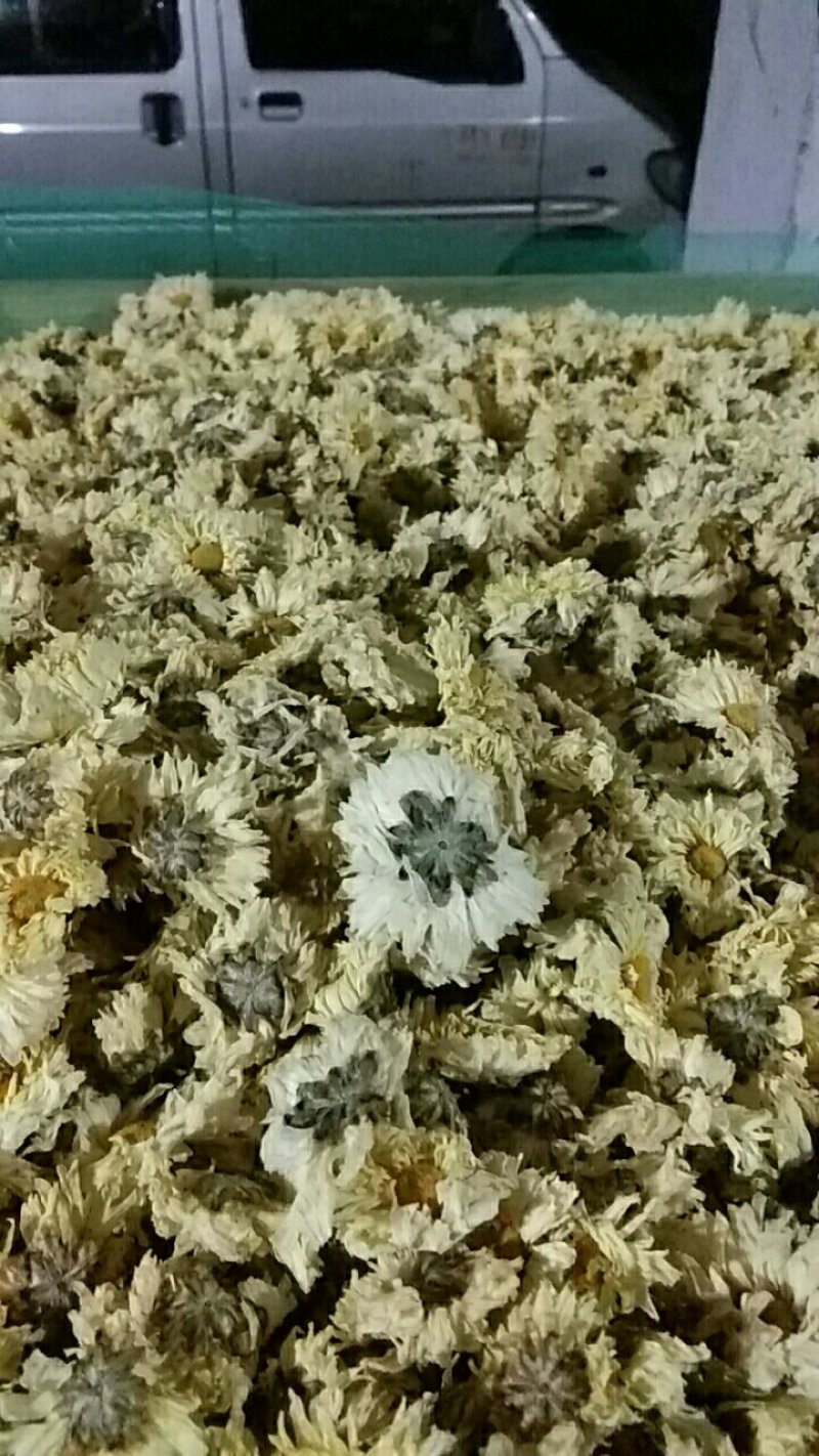 杭白菊花茶