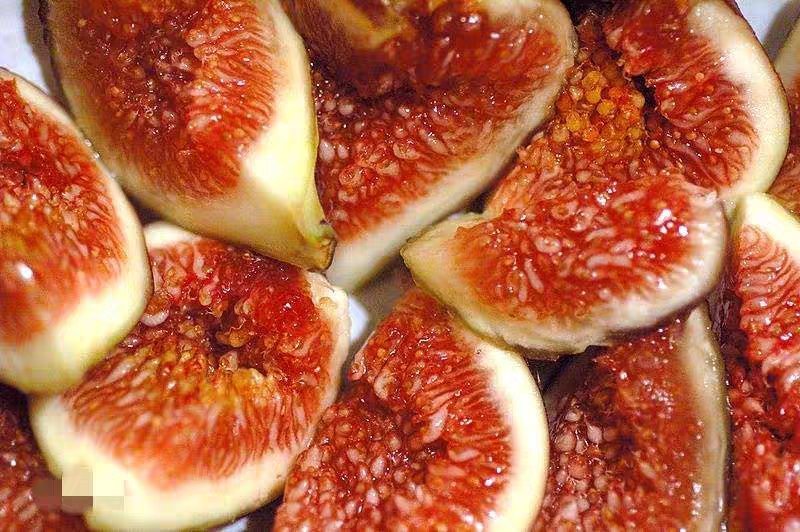 波姬红无花果苗嫁接无花果苗庭院盆栽地栽当年结果
