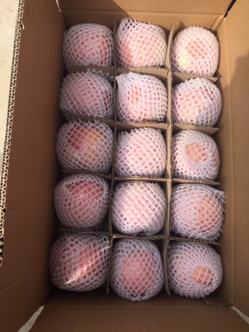 山西运城绛县新鲜中秋王苹果条红片红富士货现摘现发