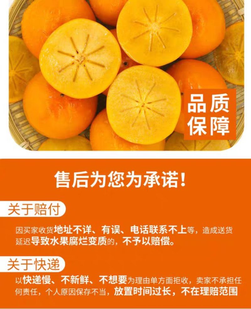快手抖音网红水果脆甜柿子产地直销即摘即吃自然脱涩