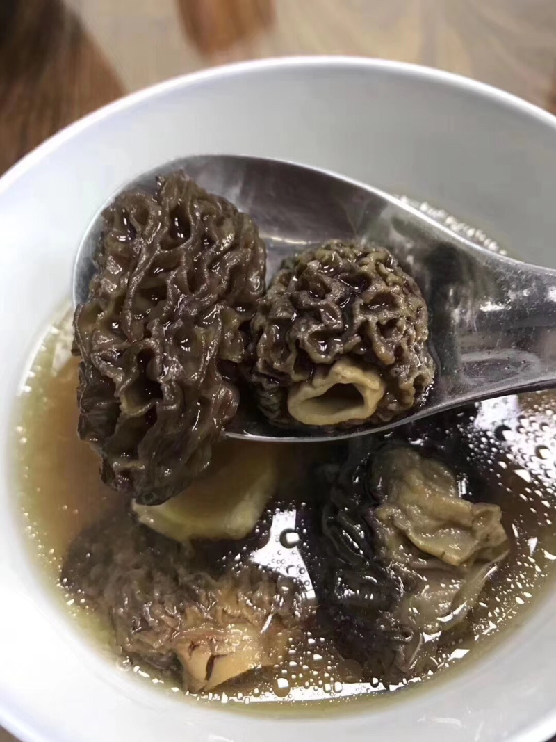 野生羊肚菌