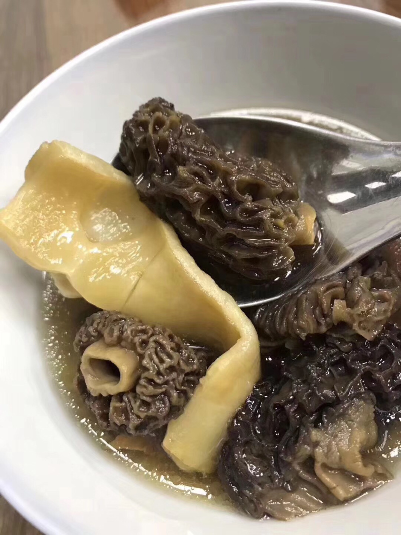野生羊肚菌