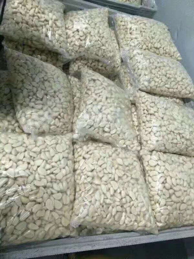 金乡大蒜蒜米基地。。。。