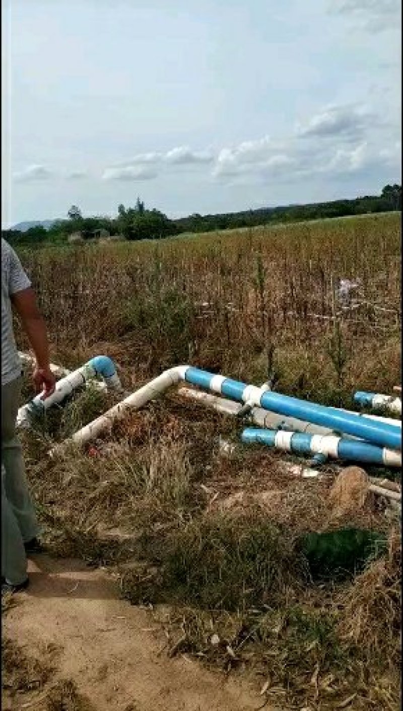 土地出租，各种种植农副产品土地出租都有