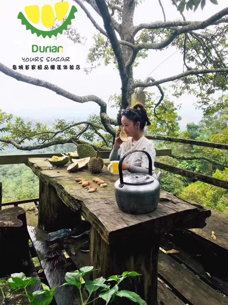 正宗马来西亚猫山王D197双a规格4-6头优惠热销