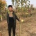 丁香花苗庭院阳台盆栽地栽植物丁香花树苗绿化工程苗木