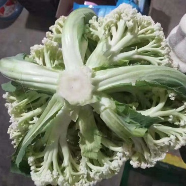 松花菜，青梗散花，菜花