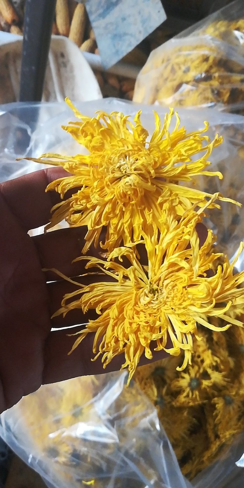 荼