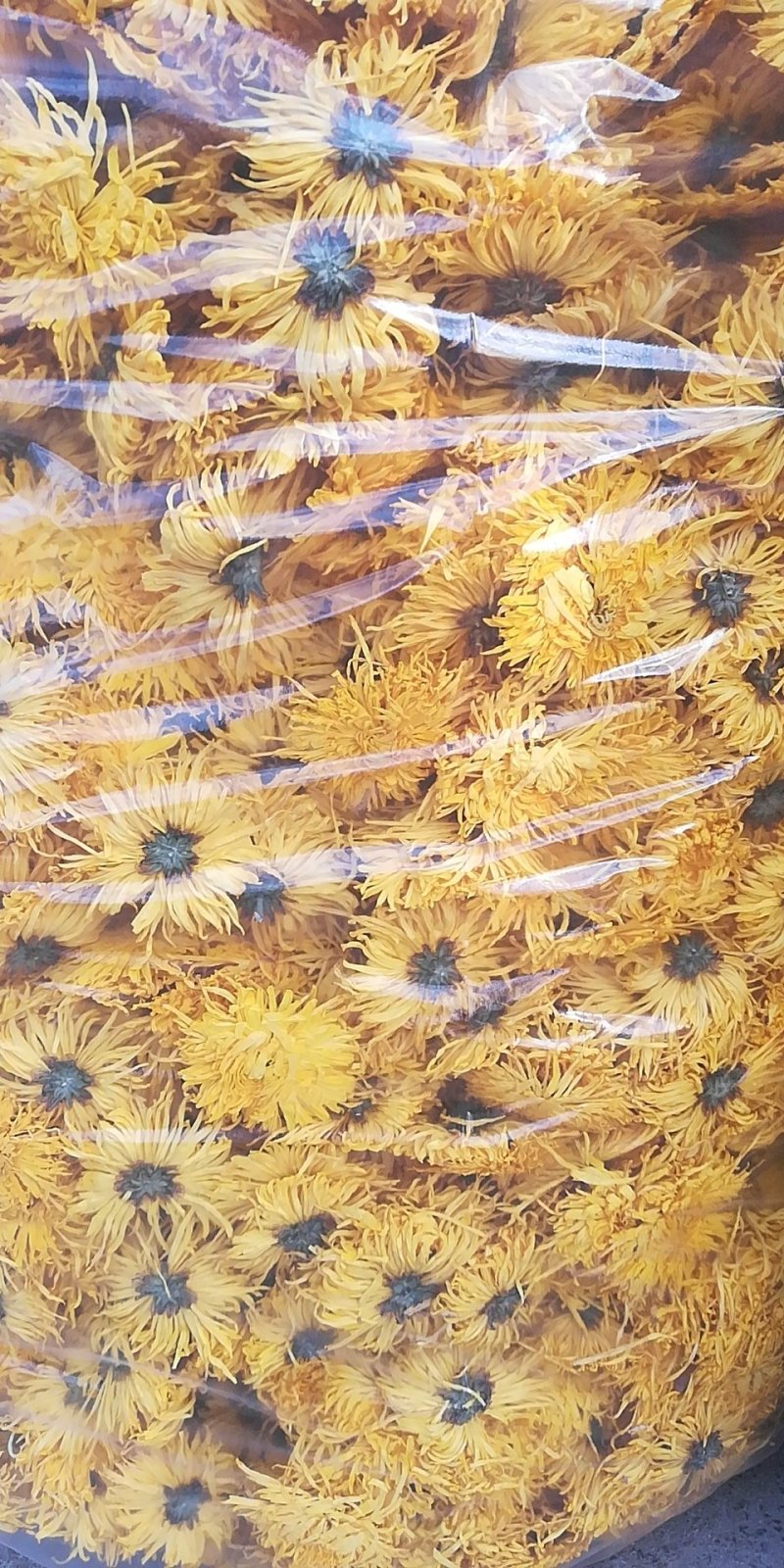 荼