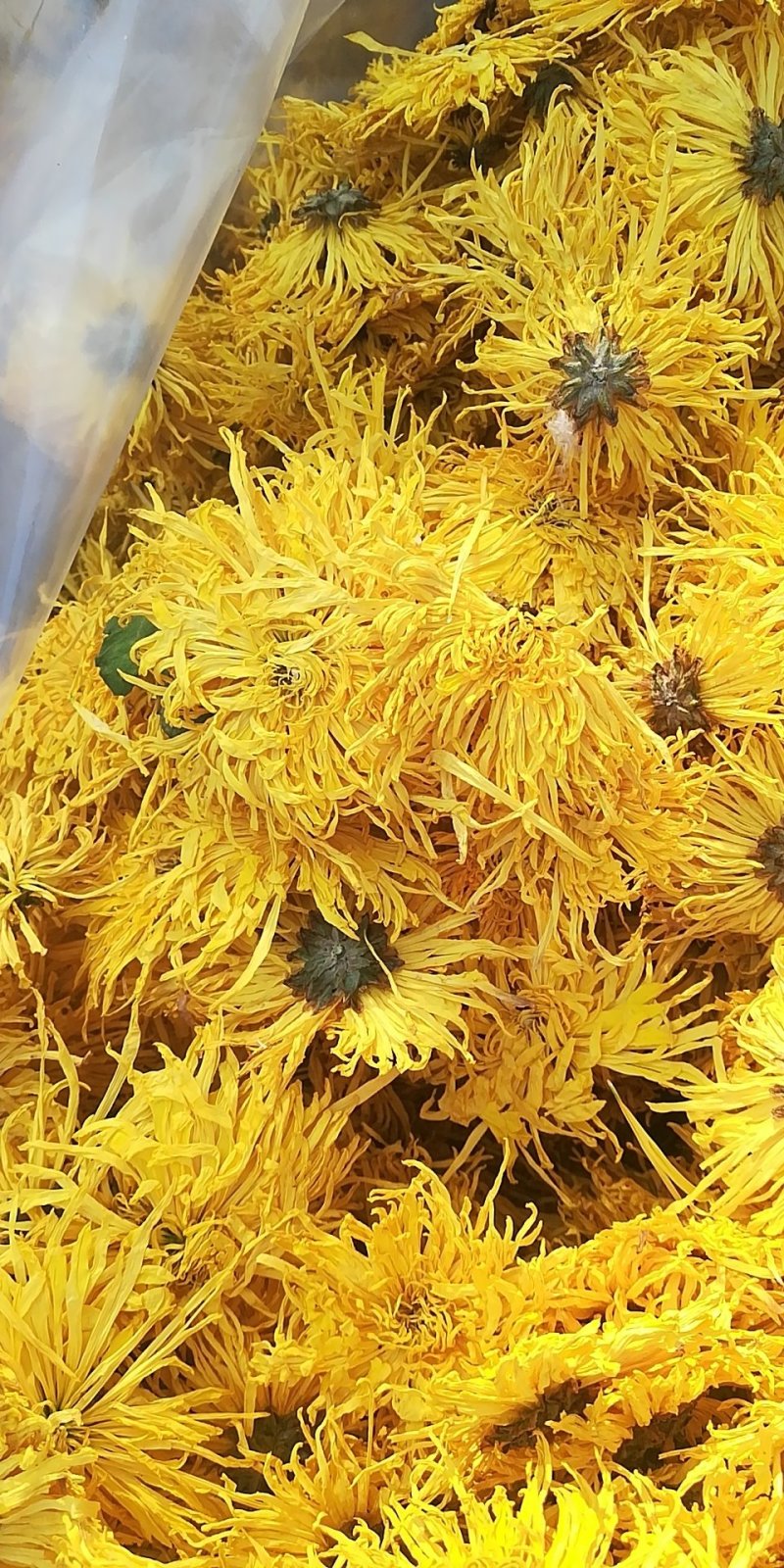 荼