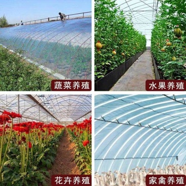 大棚膜塑料薄膜加厚无滴膜流滴膜抗老化2米-20米宽消雾透