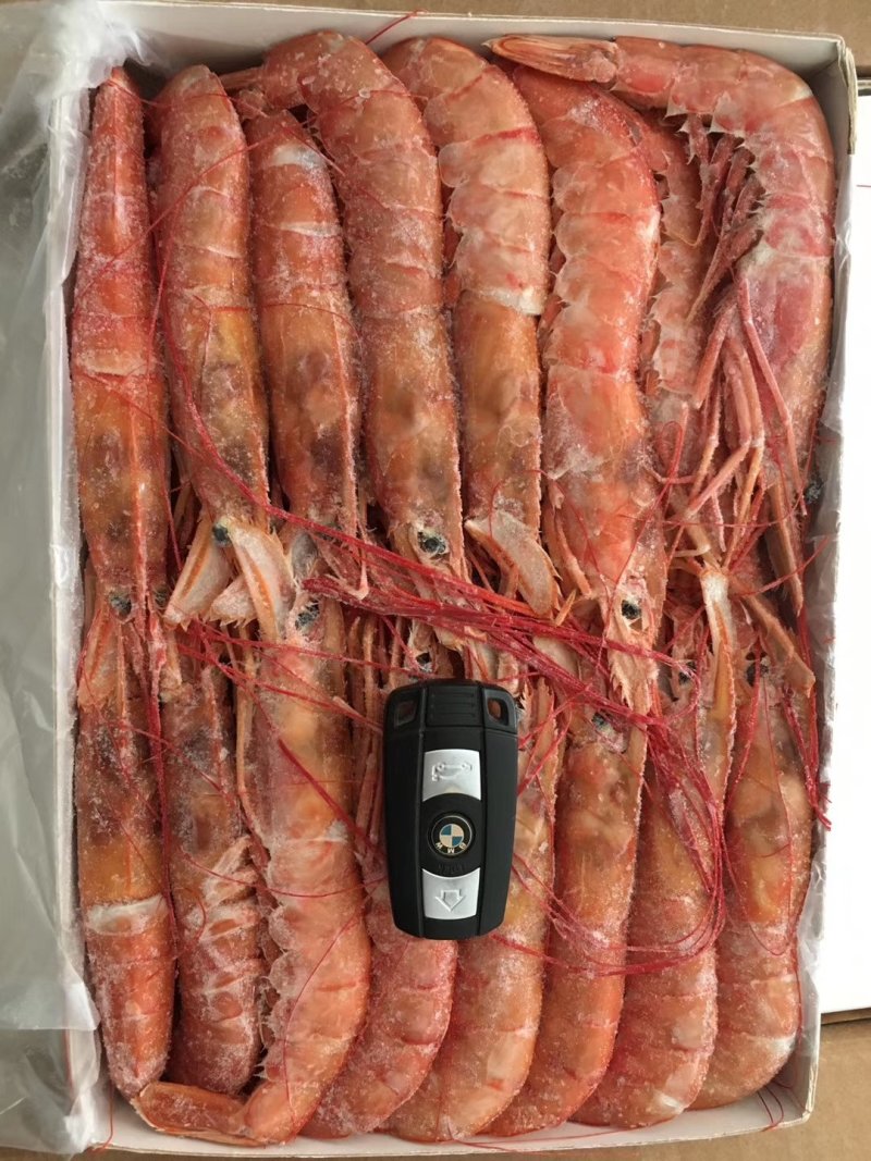 阿根廷红虾