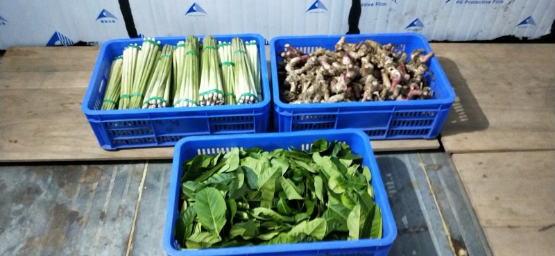 新鲜香茅草食用泰国柠檬香茅草香茅冬阴功汤调味料(自产自销