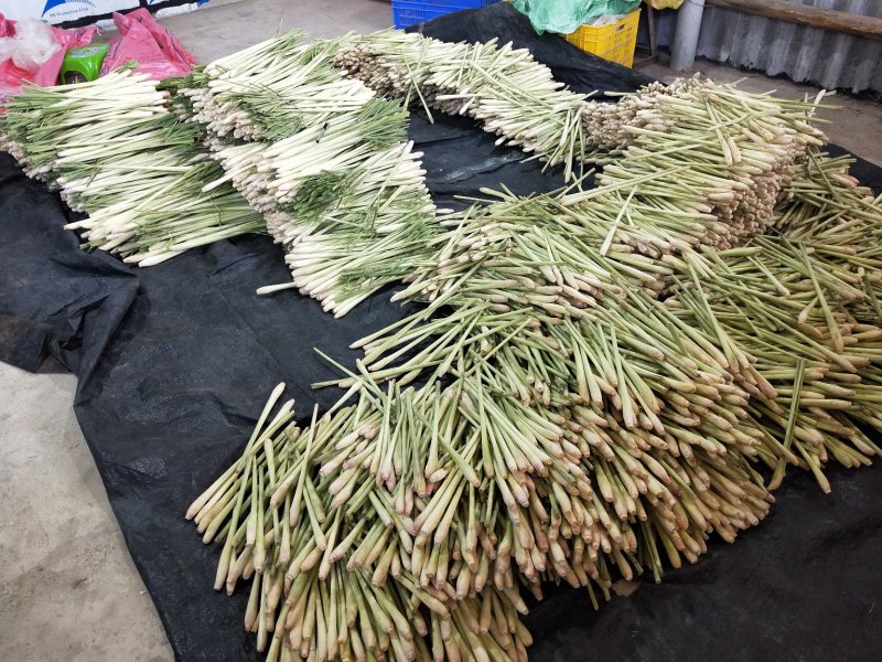 新鲜香茅草食用泰国柠檬香茅草香茅冬阴功汤调味料(自产自销