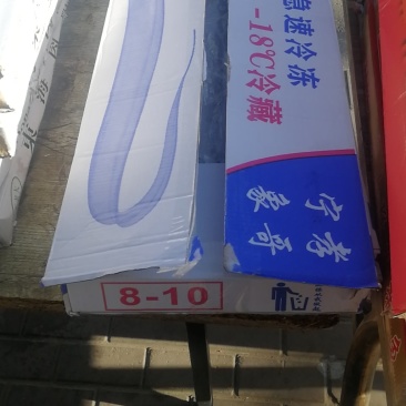 8-10带鱼