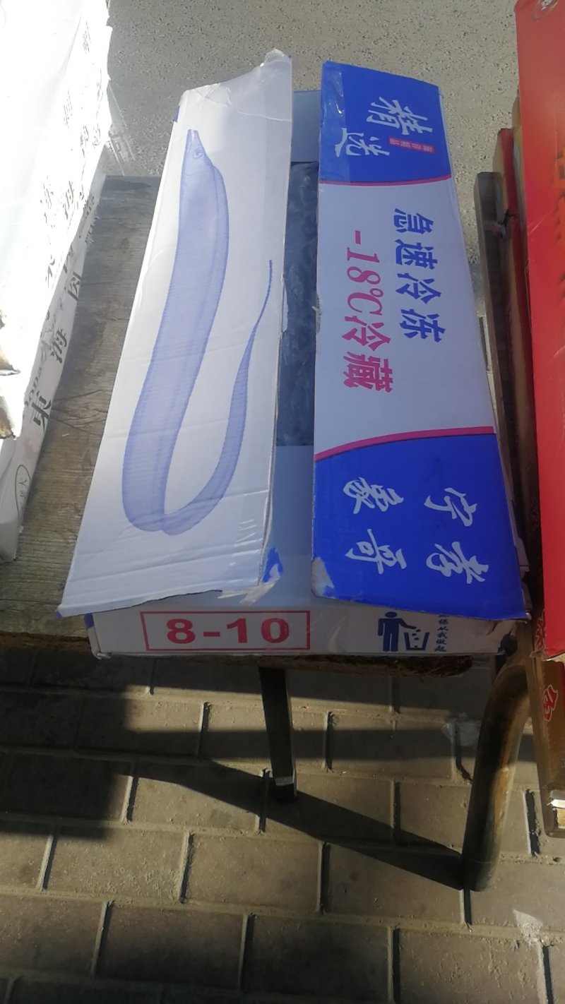 8-10带鱼