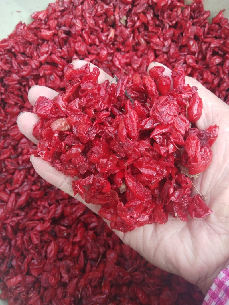 中药材山萸肉，山茱萸肉，枣皮无硫磺熏制，无农残