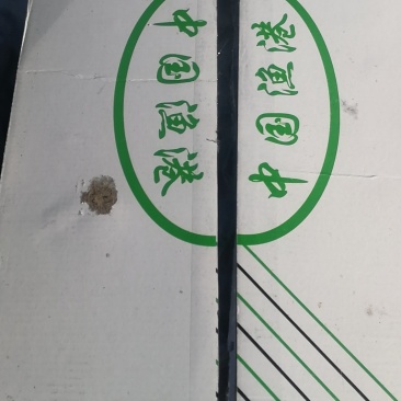 肉鲳鱼