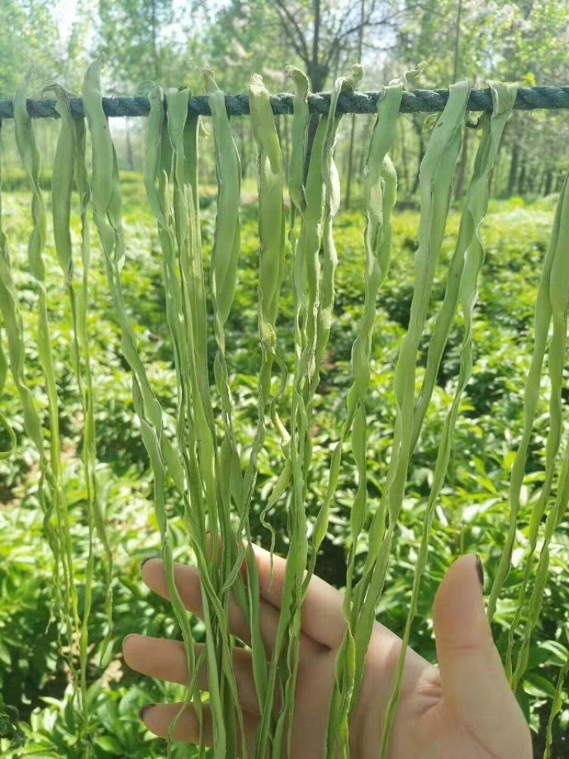 2019冬季新贡菜无皮纯肉火锅的好伙伴