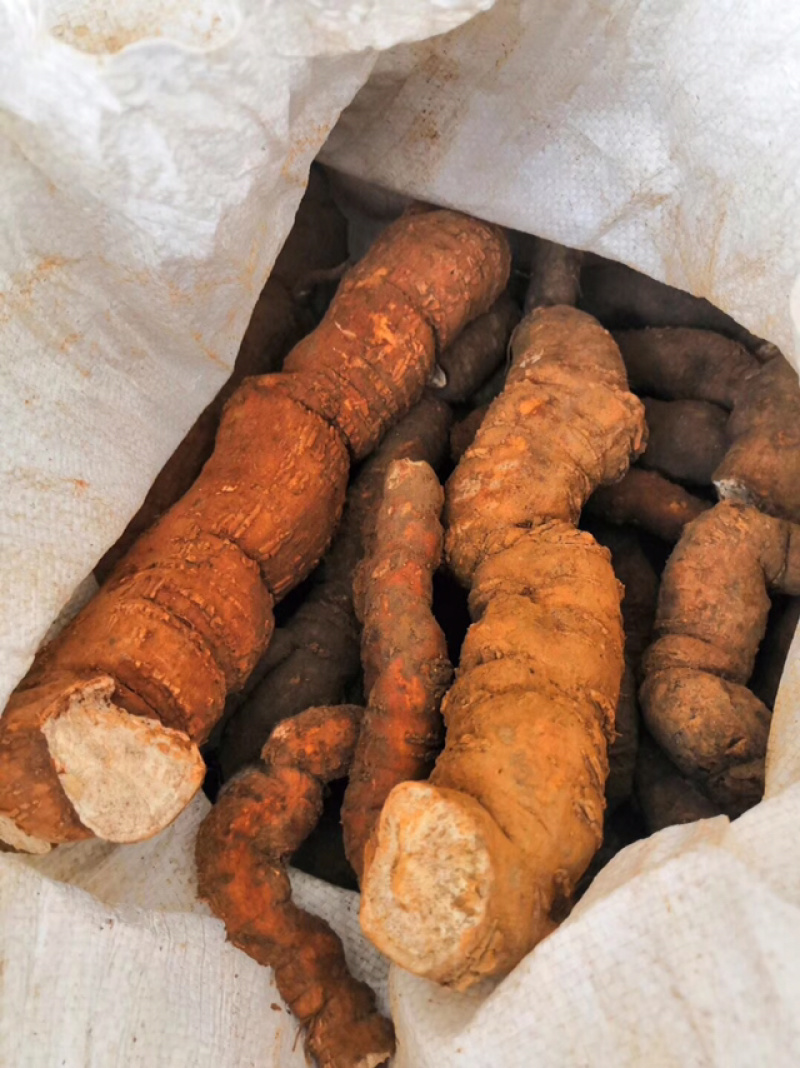 江西正宗粉防己多年种植经验粉防己