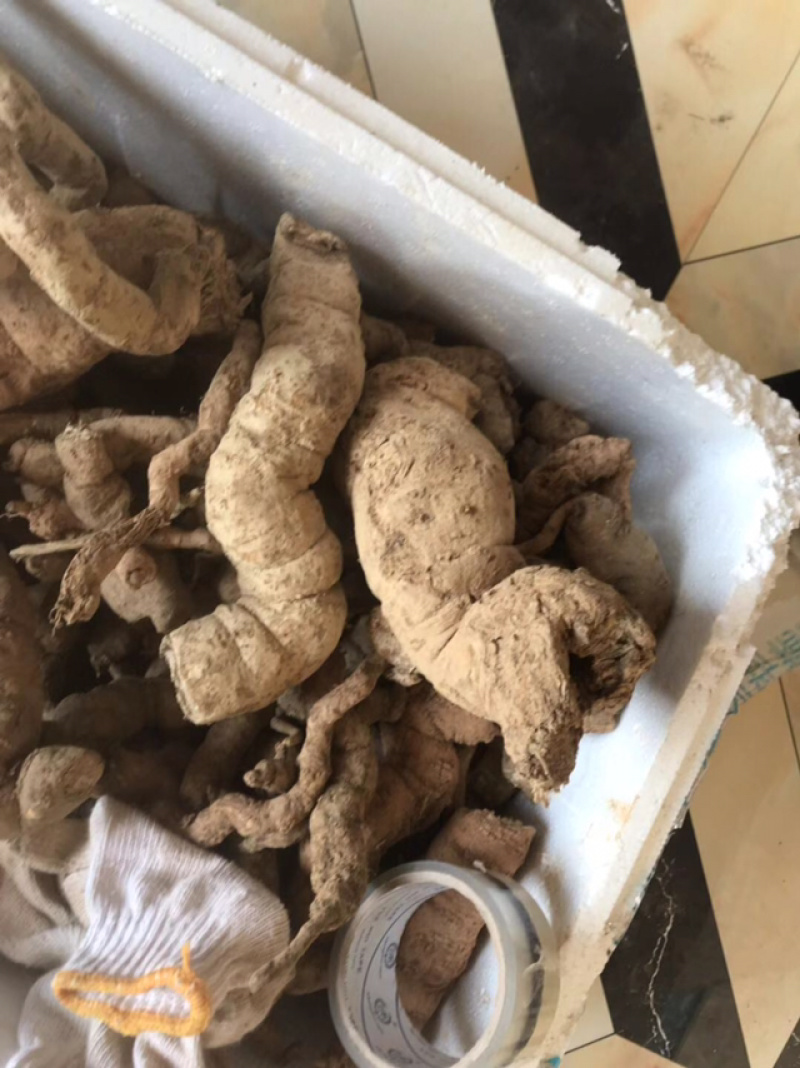 江西正宗粉防己多年种植经验粉防己