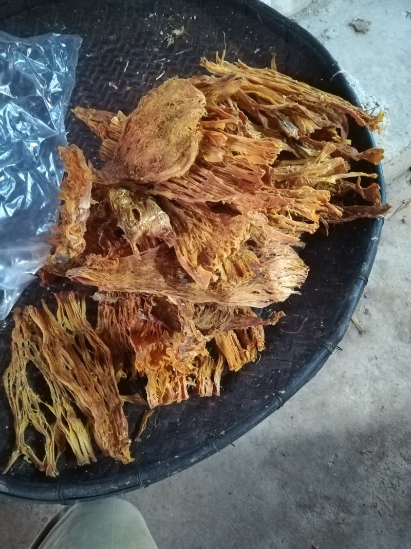 干笋