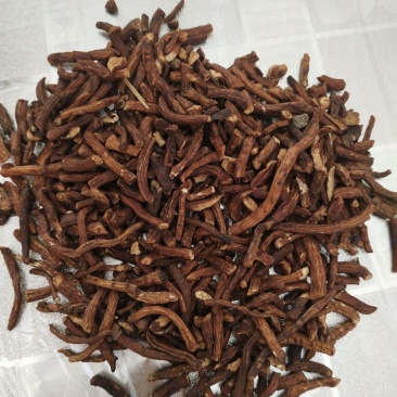 长白山蒲公英根茶大，中，小，段，