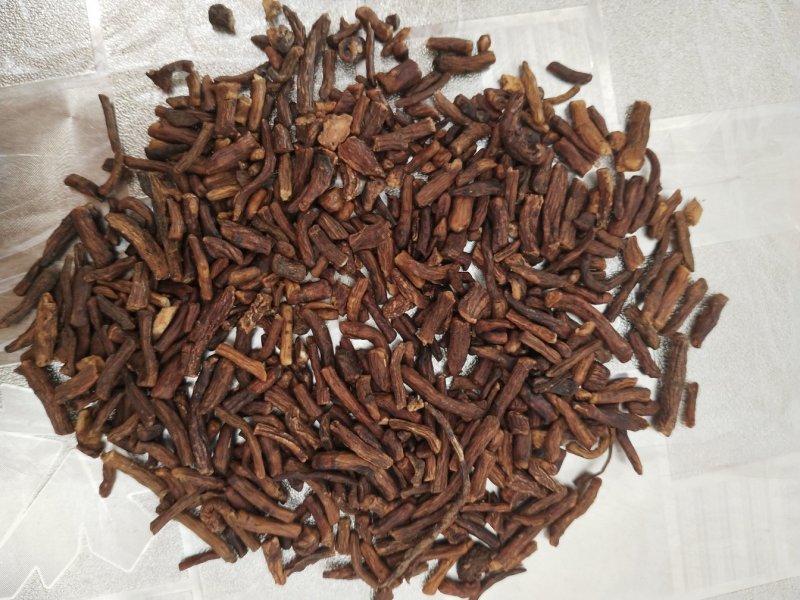 长白山蒲公英根茶大，中，小，段，
