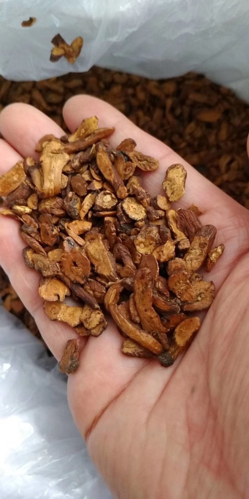 长白山蒲公英茶，大，中，小，片，