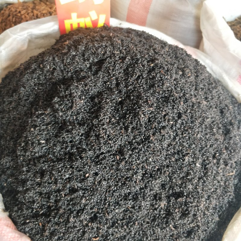 中药材黑蚂蚁干野生黑蚂蚁大个拟黑多刺蚁干泡酒料可磨粉