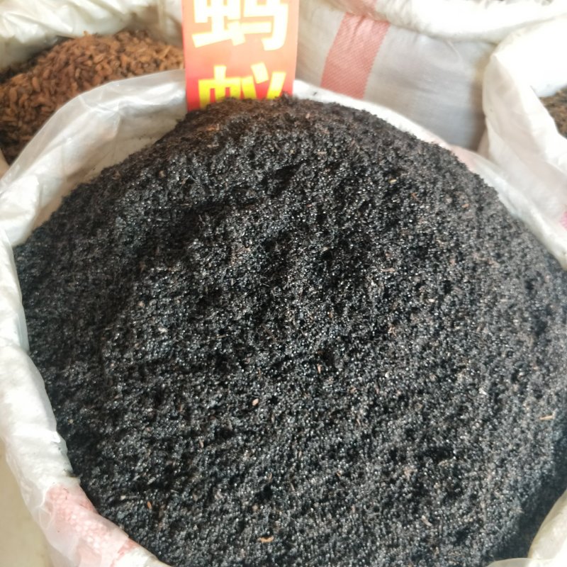 中药材黑蚂蚁干野生黑蚂蚁大个拟黑多刺蚁干泡酒料可磨粉