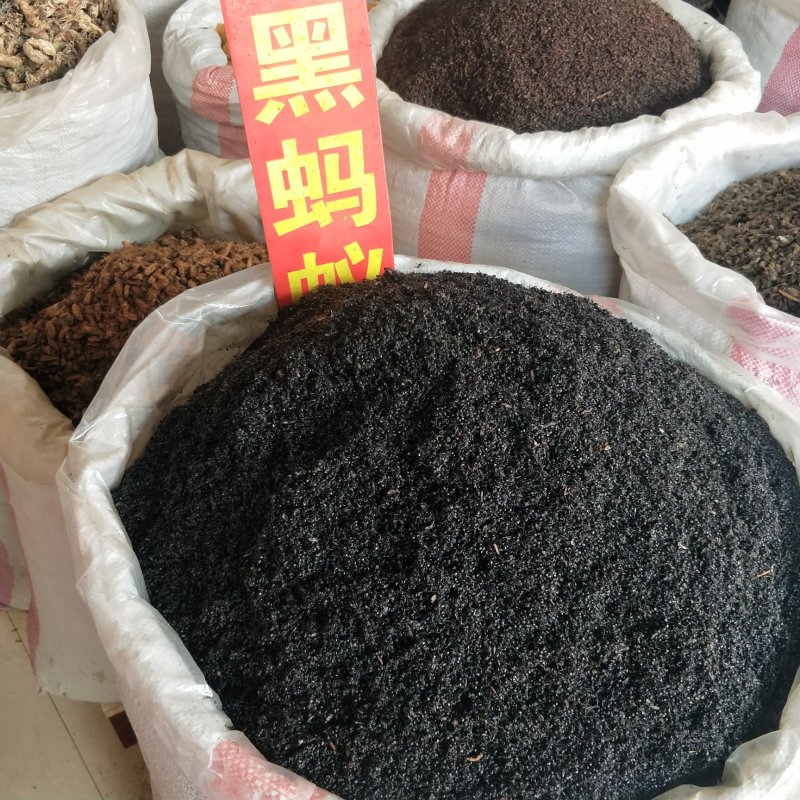 中药材黑蚂蚁干野生黑蚂蚁大个拟黑多刺蚁干泡酒料可磨粉