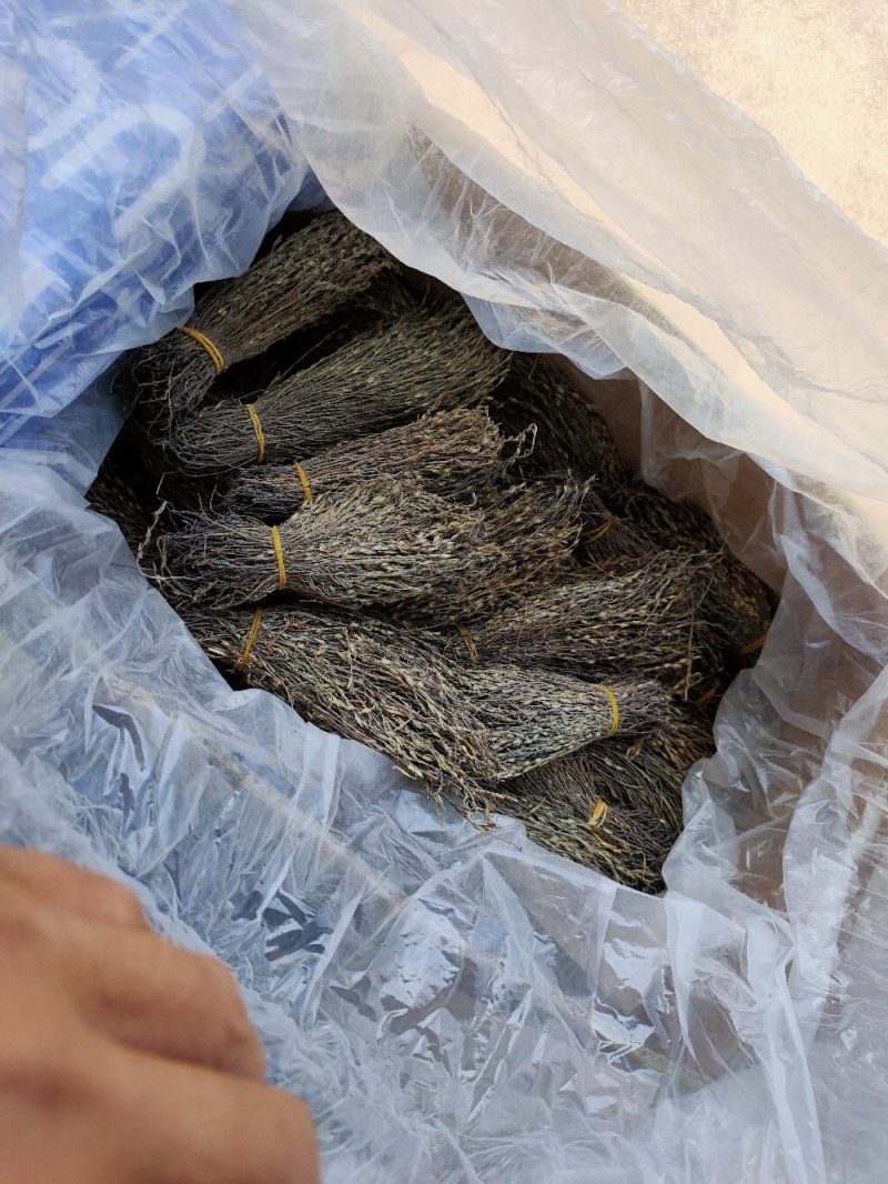 独脚柑