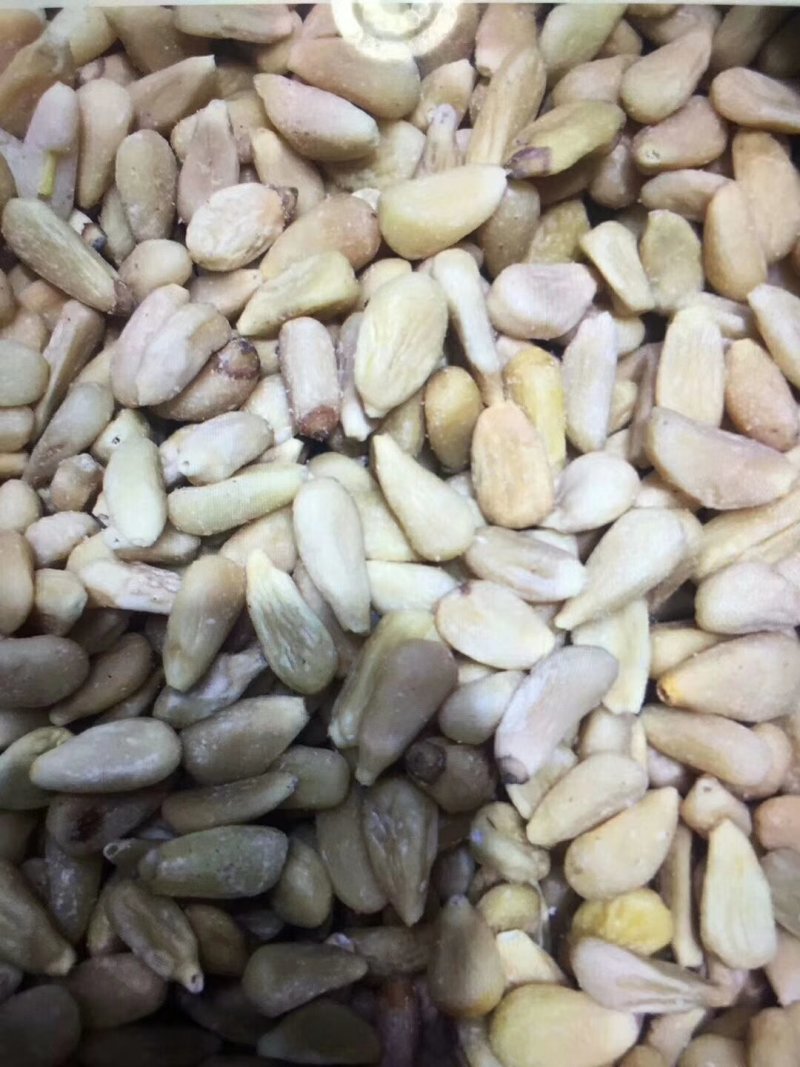 东北松仁～～榨油加工食品辅料专用，适合各大中小榨油厂使用
