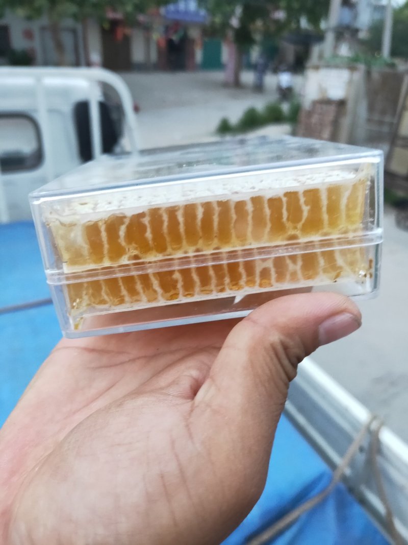 蜂巢蜜