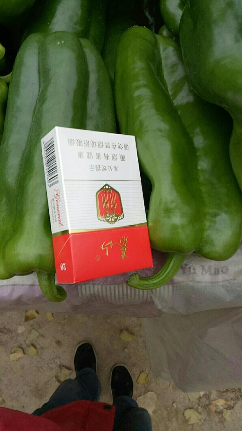 【春节特惠】太空椒产地量大质优价廉超市加工厂优选