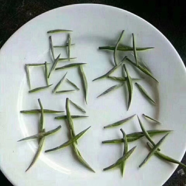 绿茶-毛尖一缕香，一口爽——饮之有道都市生活茶。