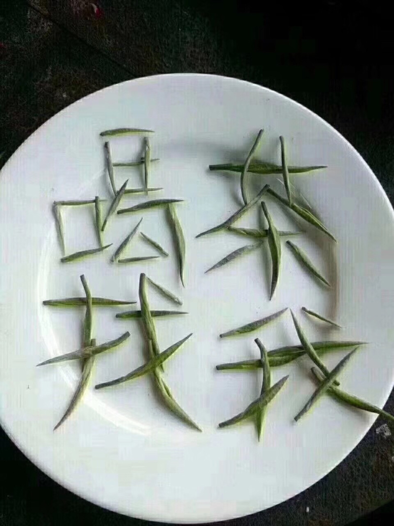 绿茶-毛尖一缕香，一口爽——饮之有道都市生活茶。