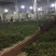 绿茶-毛尖一缕香，一口爽——饮之有道都市生活茶。