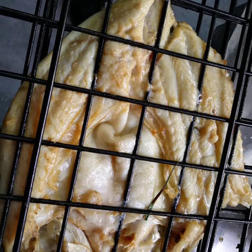 白蕉海鲈鱼厂家直批价格实惠质量放心长期供应餐饮行业