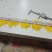 刚刚出炉的金丝皇菊。有需要的联系我。