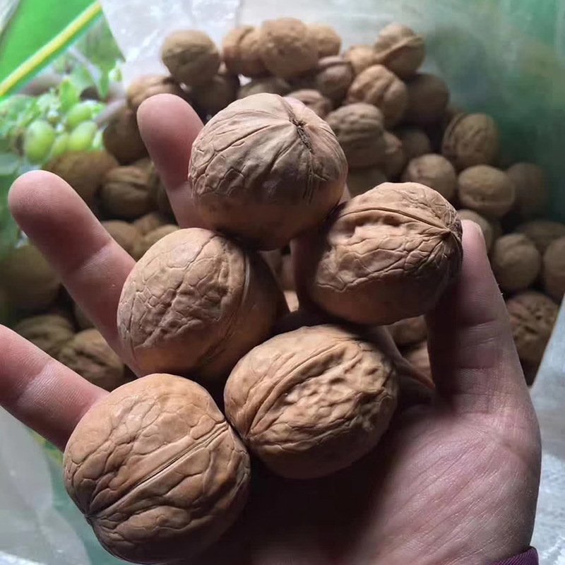 新疆薄皮核桃核桃2020年全新货一件代发全国发